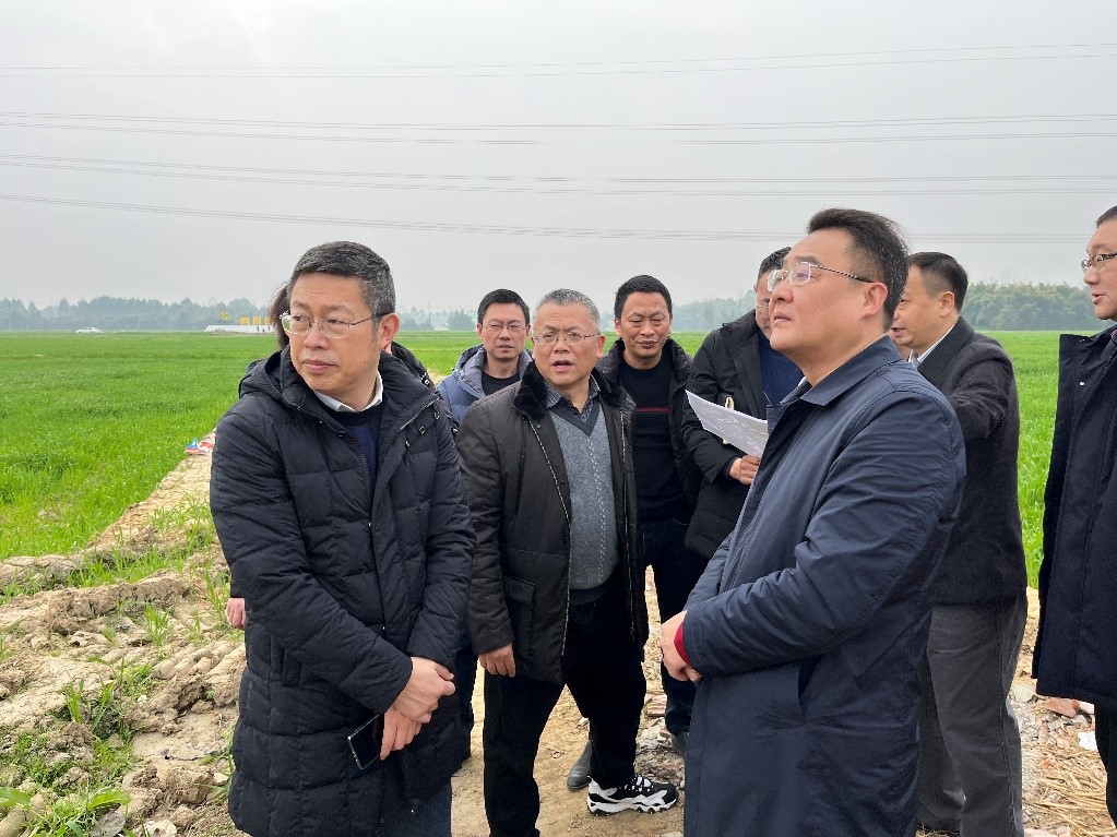 省社、省供投集團領導調研青白江區四川現代供銷種業園區