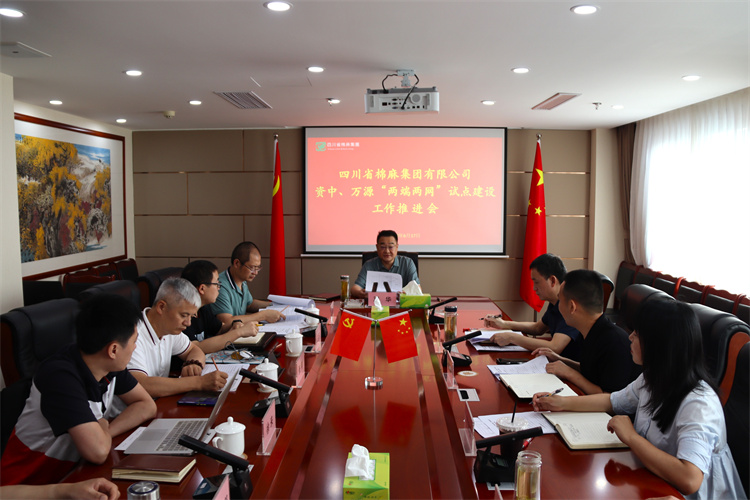 鄧華主持召開資中、萬源“兩端兩網”試點建設工作推進會
