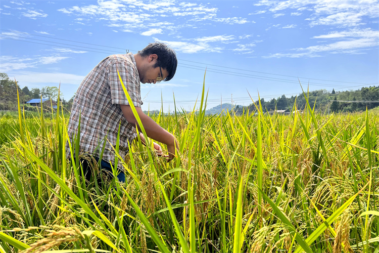 1662370809272603.jpg 仁壽4.jpg