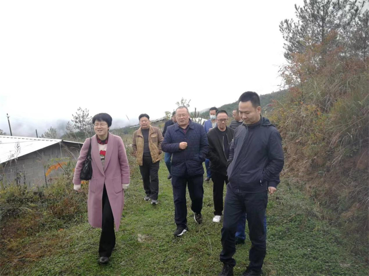 1668648256657169.jpg 舊院1.jpg