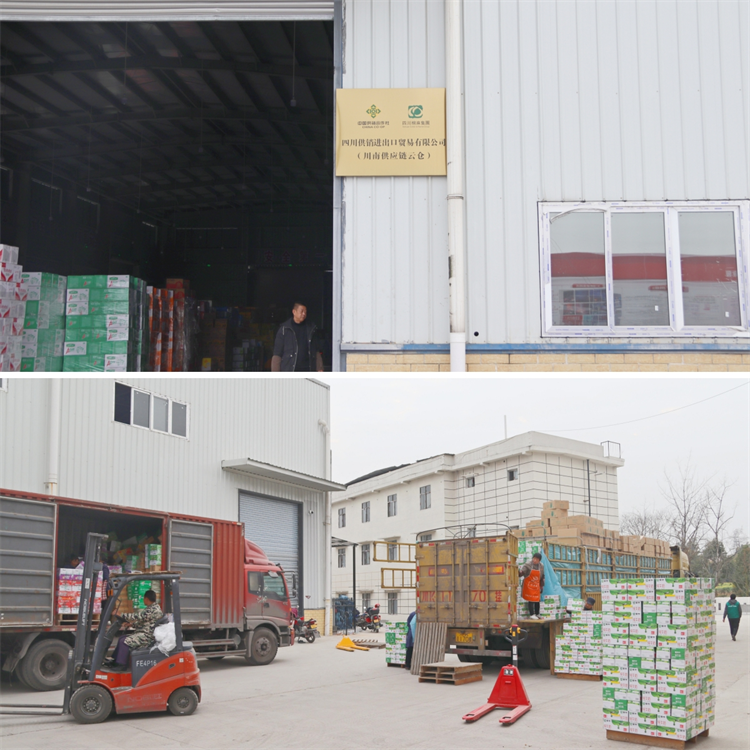 1675937831489085.png 圖片5.png